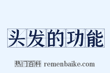 头发的功能是什么意思的图片